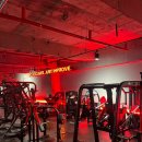 짐 델타 이미지