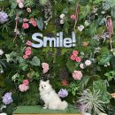 24시 위드힐동물메디컬센터 이미지