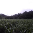 상수1리마을회관 이미지