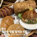 부산여행 빵지순례 망미단길 빵집 꽃피는 4월 밀익는 5월 후기