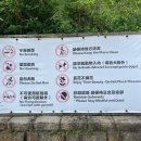 포린마트 | 홍콩 ➂ :: 탁풍딤섬 / 옹핑360케이블카 / 포린사원 / 빅부다 / 베이크하우스 에그타르트