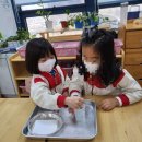 YMCA스포츠단어린이집 이미지