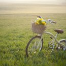 냉천(낭만자전거1) 이미지