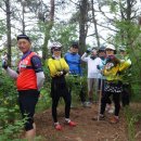 칠백민박 이미지