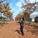 박제상기념관 티스토리