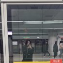 룩파아 | 11월에도 루시 오빠들만 봤네요..