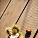 청평힐리조트 이미지