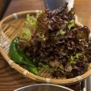 다올막창 이미지