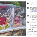 아도니스플라워