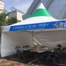 V픽처