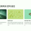 솔잎약국 이미지