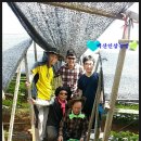 진생농장 이미지