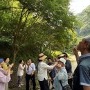 안심마을 이미지