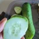 빛들농장 이미지