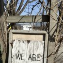 은빛 비치는 돌 이미지