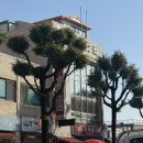 덕취원 | 강원도 동해 오래된 중식 맛집 덕취원ㅣ내돈내산 솔직후기