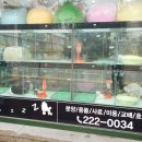 개꿈꾸는 고양이 이미지