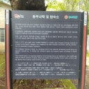 동해 구 삼척개발 사택과 합숙소 네이버블로그