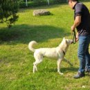 박순호의 아이슬란드 이미지