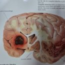 호성한의원 이미지