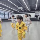 한국체대 바른 태권도장 이미지