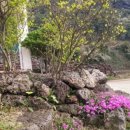 성산게스트하우스킴스캐빈 이미지