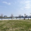 그늘막84 이미지