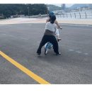 노랑고래 이미지