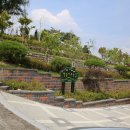 음성읍 명품가로숲길 이미지