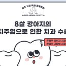 금호동물병원 이미지