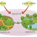 농업보호구역은활용가치가높다 이미지