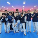 경희대 SJC 태권도장 | 수명동 태권도 도장에서의 특별한 내발산동태권도 체험 후기