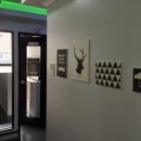 스타일동전노래연습장 이미지