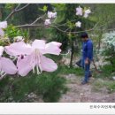은하수농장 이미지