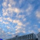 해피한 멍 | 12월의 낭만광주여행 2탄