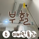 진약국 | 대전) 수이비인후과의원 , 감기몸살 병원 내돈내산 병원 추천 후기