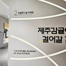 신례팜