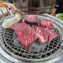 정원식육식당 | [안동맛집] 경북 안동 정하동 한우 맛집 '정원식육식당' 소등심 내돈내산 후기