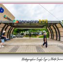 큰시장왕만두 이미지