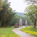 명소 울산 태화강 국가정원 십리대숲 산책로 이미지