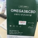 도래동물병원