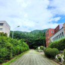 궁내초 앞 이미지