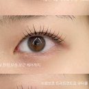 래쉬바이진