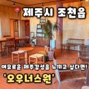 동백 숲속애견랜드 | [오우너스원] 제주 조천읍 카페 아침카페 제주도 애견동반카페추천, 오우너스원 후기(내돈내산)