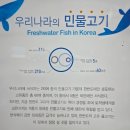 양평군 광탄면 경기도 민물고기 생태 학습관(위치, 입장료, 주차, 관람 정보)