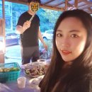 편백숲길 유하팬션 네이버블로그