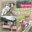 남해가봄 | 남해 가볼만한곳 남해 양떼목장 양모리학교 솔직후기