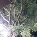 인제백담사십이선녀펜션 이미지