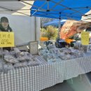 영천한우영농조합법인 이미지