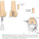송파새날동물병원 이미지
